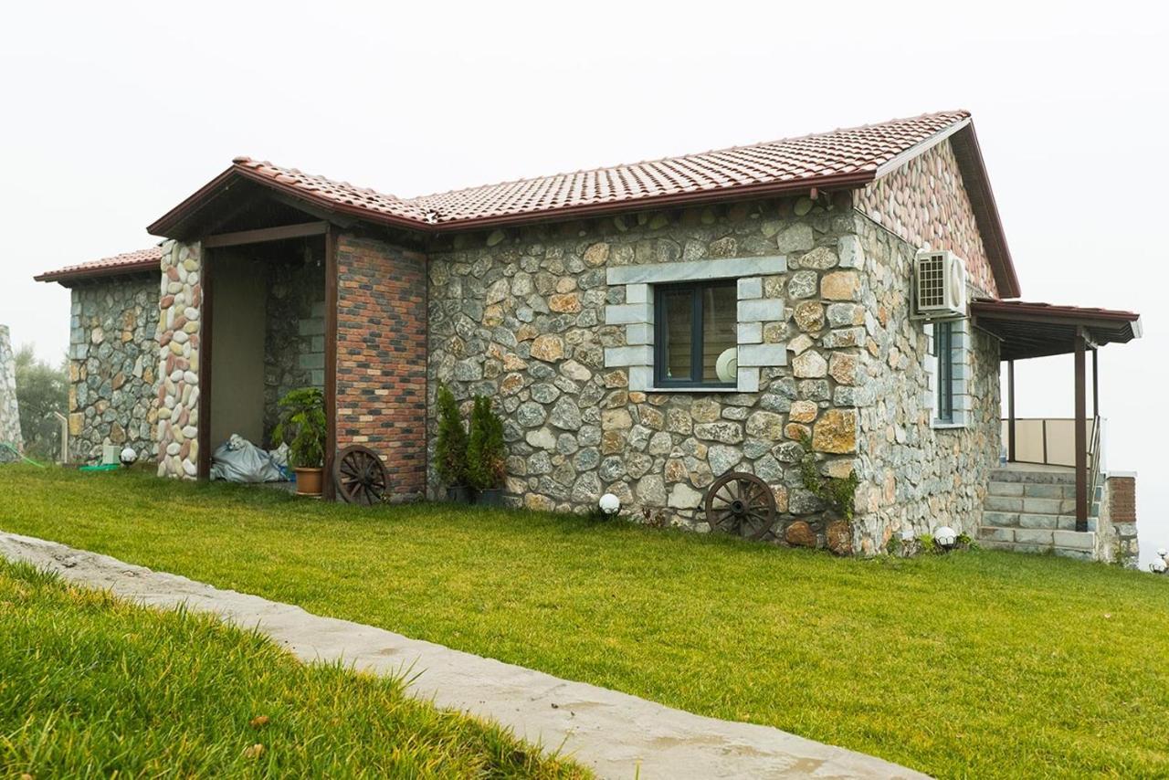 Iznik Askania Экстерьер фото
