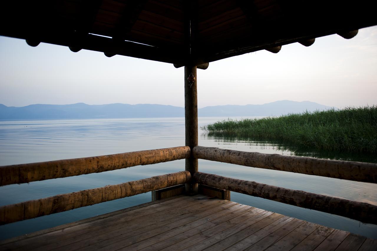 Iznik Askania Экстерьер фото